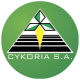 Cykoria